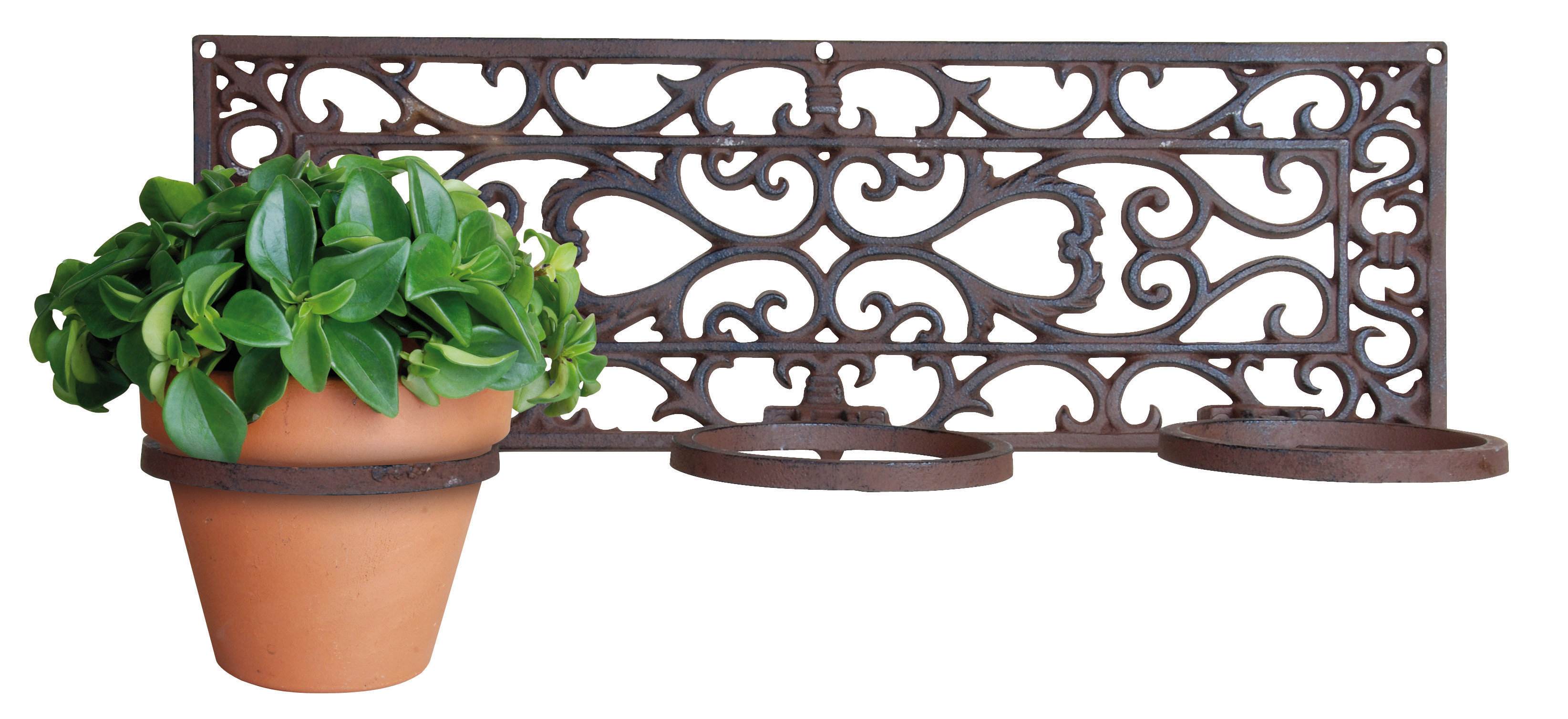 Wrought iron wall plant holders discount